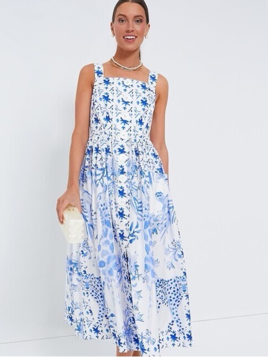 Tuckernuck Dresses & Skirts - TUCKERNUCK X LOULOU BAKER Painted Safari Vita Dress